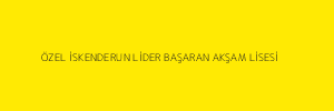 ÖZEL İSKENDERUN LİDER BAŞARAN AKŞAM LİSESİ